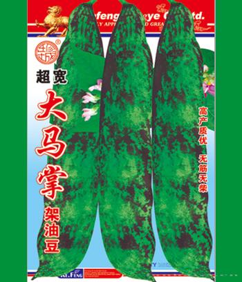 大马掌　
