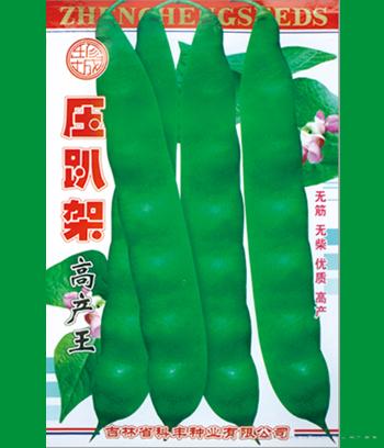 压趴架　