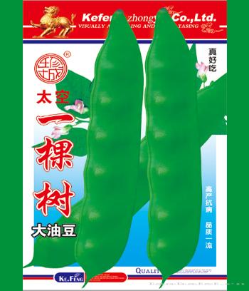 一棵树　