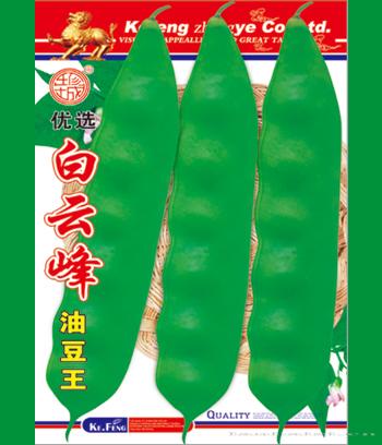 白云峰　