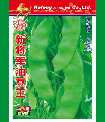 新将军油豆王　