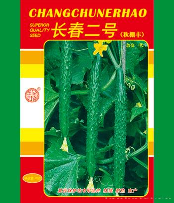 银白叶三　