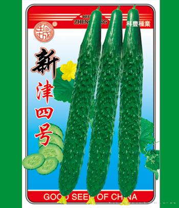 新津四号　