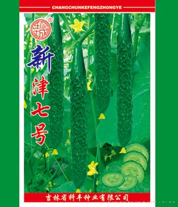 新津七号　