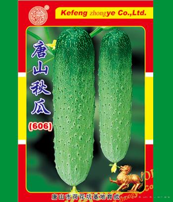 唐山秋瓜606　