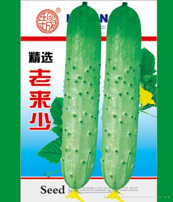 老来少　