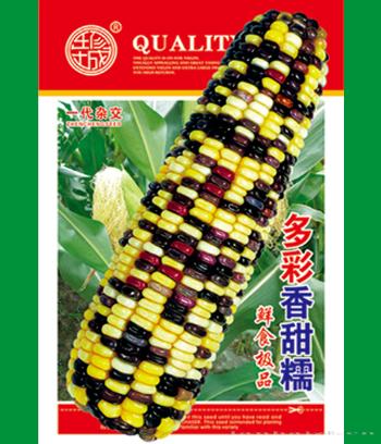 多彩香甜糯　