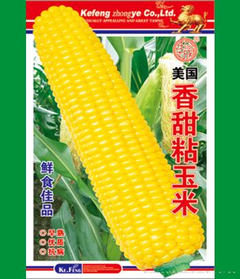 香甜粘玉米　