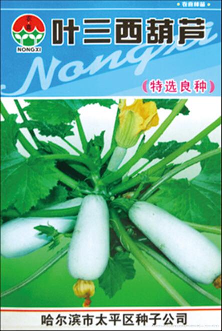 蔬菜种子