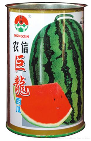 西瓜种子