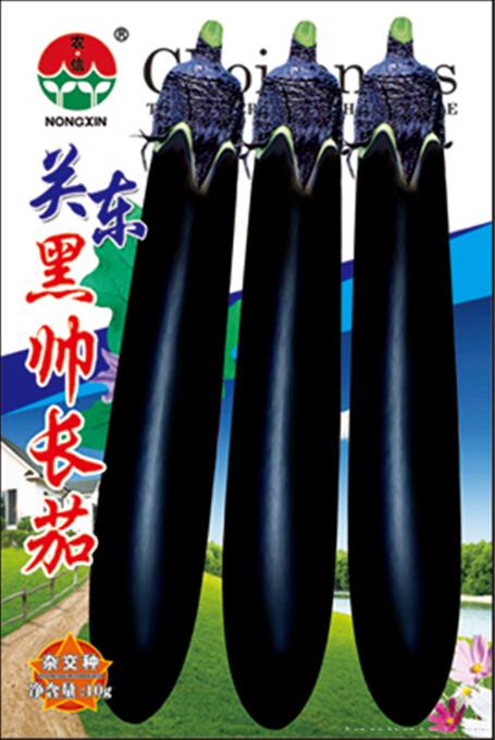 茄子种子