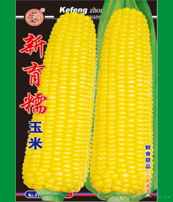 新育糯　