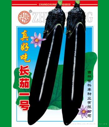 长茄一号　