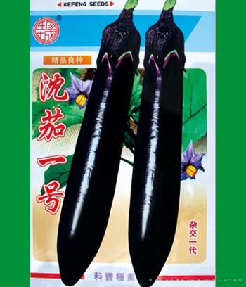 沈茄一号　