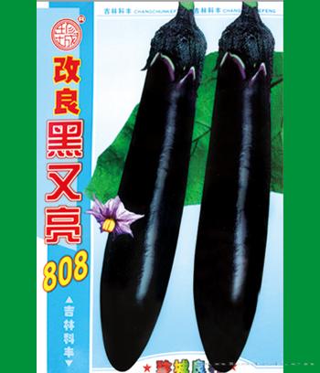 黑又亮808　