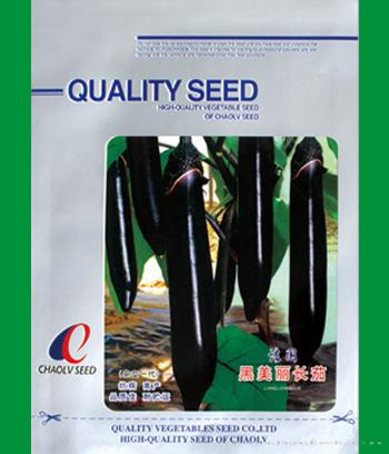 黑美丽长茄　