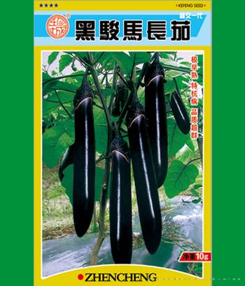黑骏马长茄　