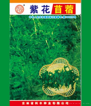 紫花　