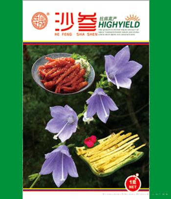 沙参　