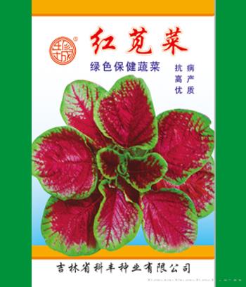 红苋菜　