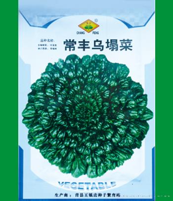 常风乌塌菜　