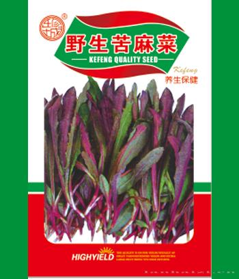野生苦麻菜　
