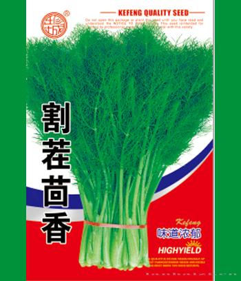 割茬茴香　
