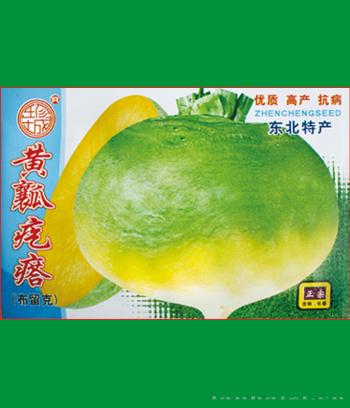 黄瓤疙瘩　