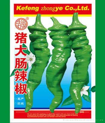 猪大肠辣椒　