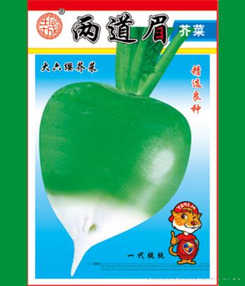 两道眉　