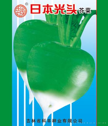 日本光头　