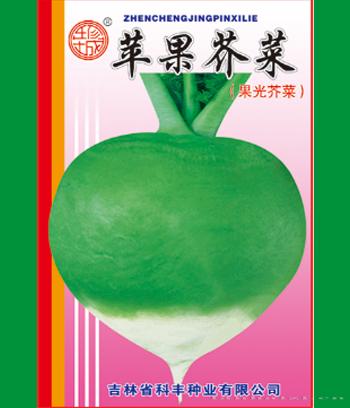 苹果芥菜　