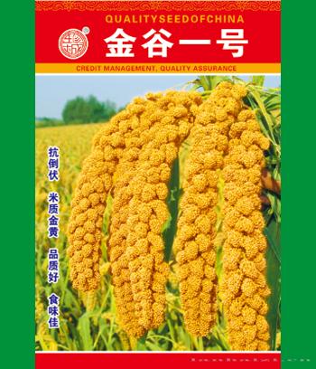 金谷一号　