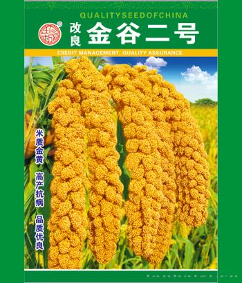 金谷二号　