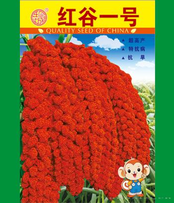 红谷一号　