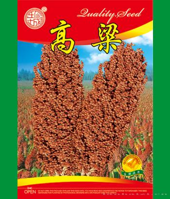 高粱　