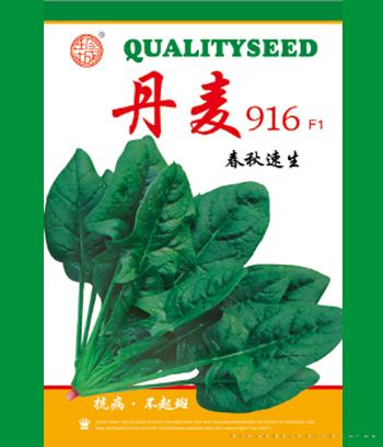 丹麦　