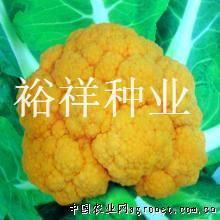 花椰菜