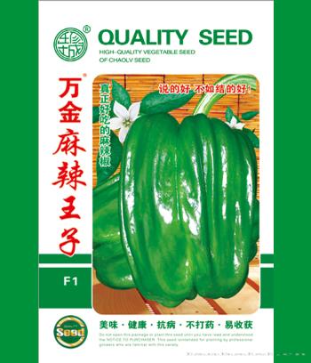 万金麻辣王子　
