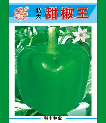 甜椒王　