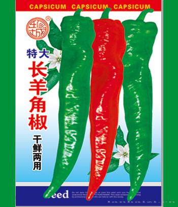 特大长羊角椒　
