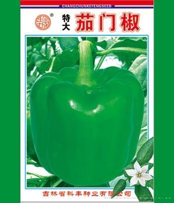 农大40　