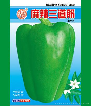 麻辣三道筋　