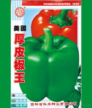 厚皮椒王　