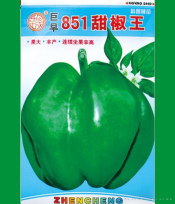 851甜椒王　