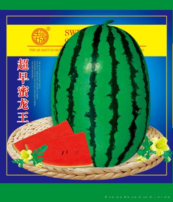 超早蜜龙王　