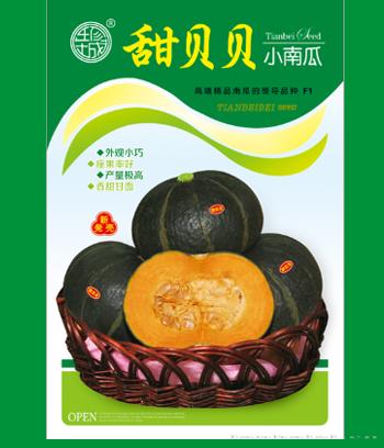 甜贝贝小南瓜　