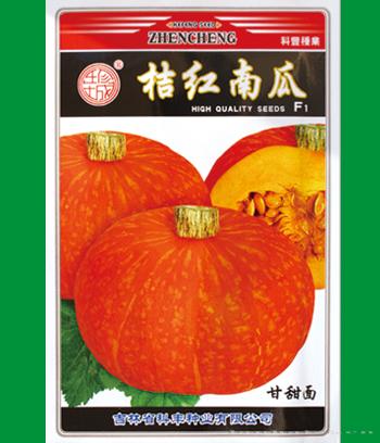 桔红南瓜　