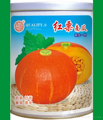 红栗南瓜　