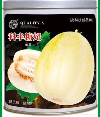 科丰糖妃　